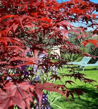 达蒂诺酒店 酒店 马尔切西内