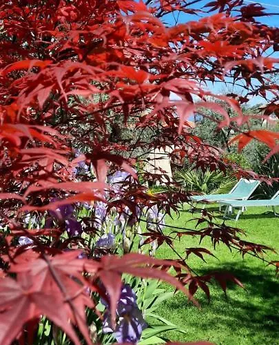 Da Tino Hotel Malcesine
